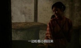 国产家庭伦理电影