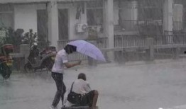 娱乐吃瓜酱爷爷撑伞